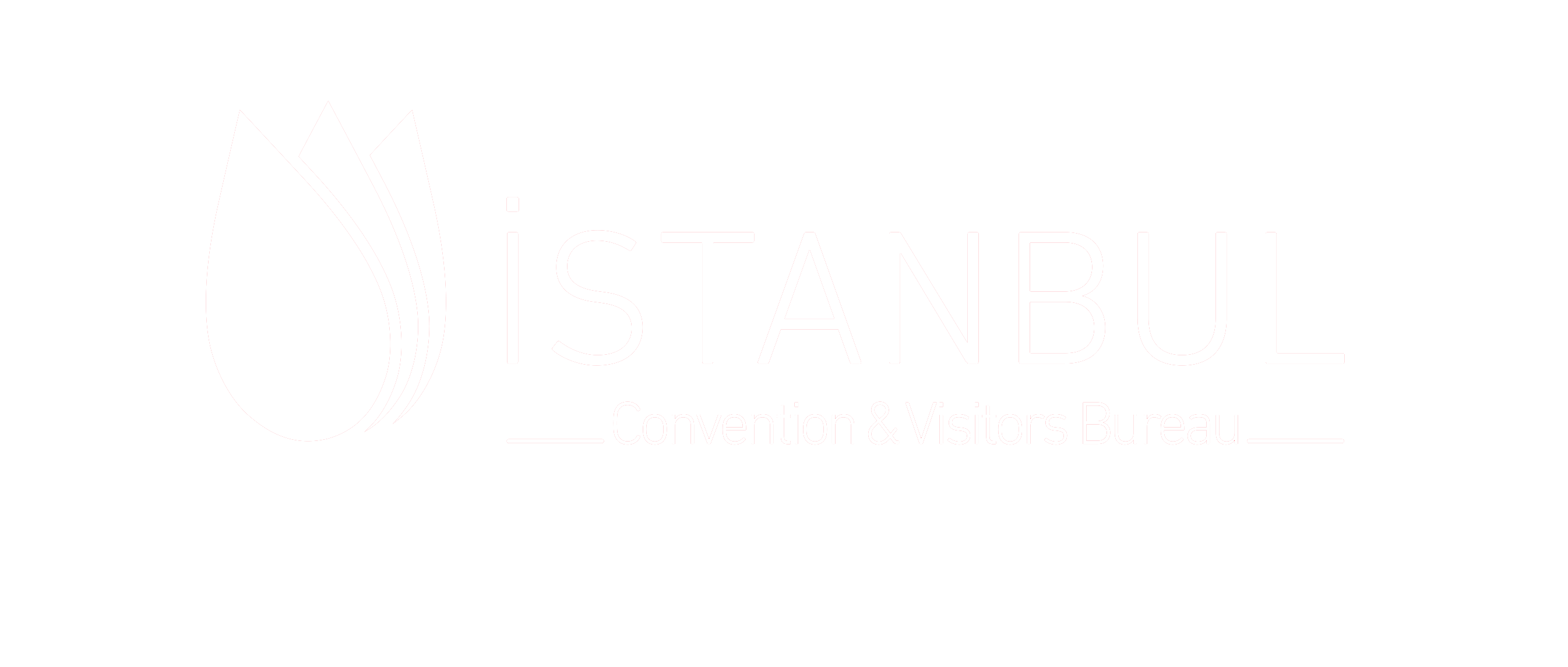 istanbul tourism board